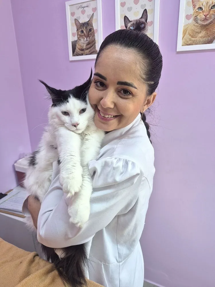 Dra. Nathalia com um gato preto e branco no colo, na Zenvet