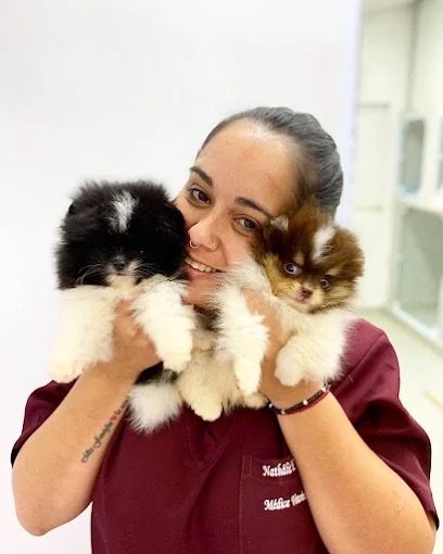 Dra. Nathalia em scrubs vinho com dois filhotes de pomerânia no colo