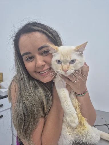 Profissional Zenvet com gato laranja claro recebendo cuidado